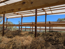 Load image into Gallery viewer, 1 lb Live Red Wiggler Composting Worms - Eisenia Fetida - Live Arrival Guarantee