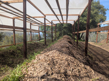 Load image into Gallery viewer, 1 lb Live Red Wiggler Composting Worms - Eisenia Fetida - Live Arrival Guarantee